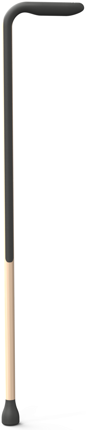 Cane render, three-quarter