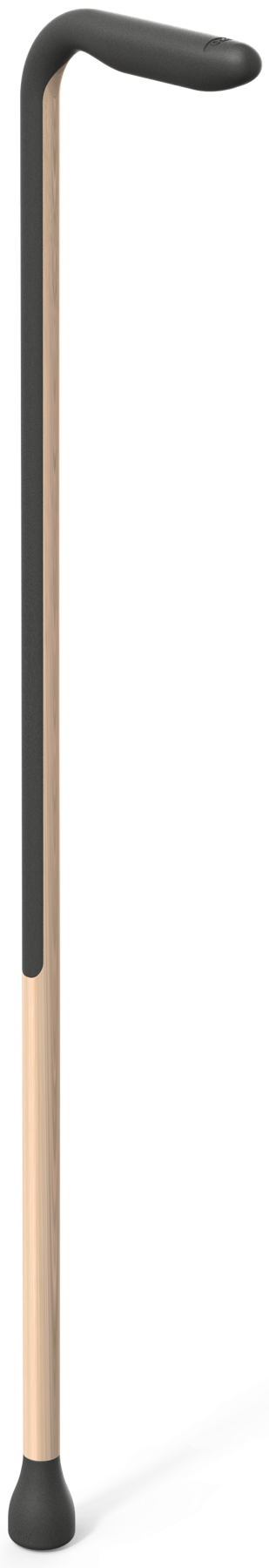 Cane render, front